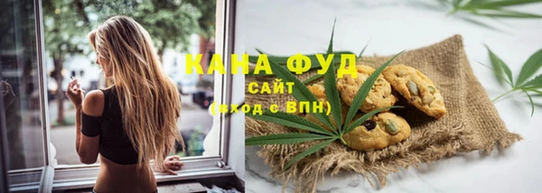 шишки Снежногорск