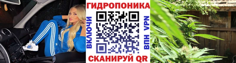 Марихуана THC 21% Дедовск